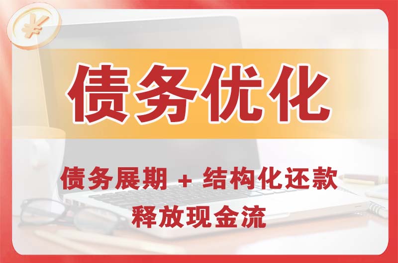 瑞丽债务优化