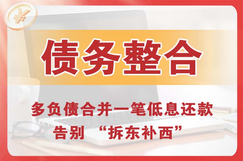 瑞丽债务整合
