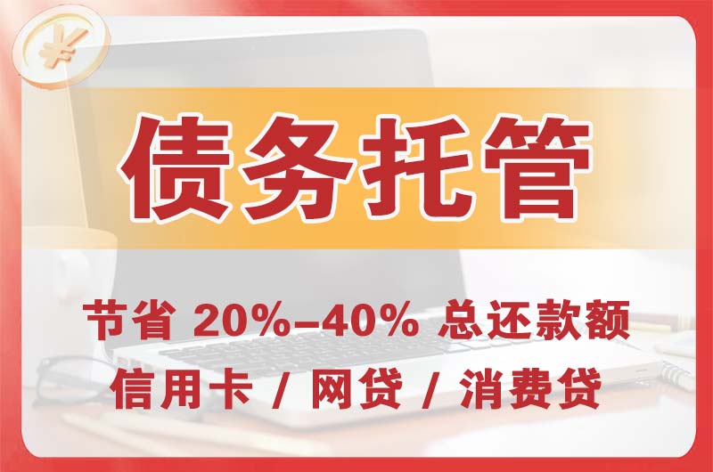瑞丽债务托管