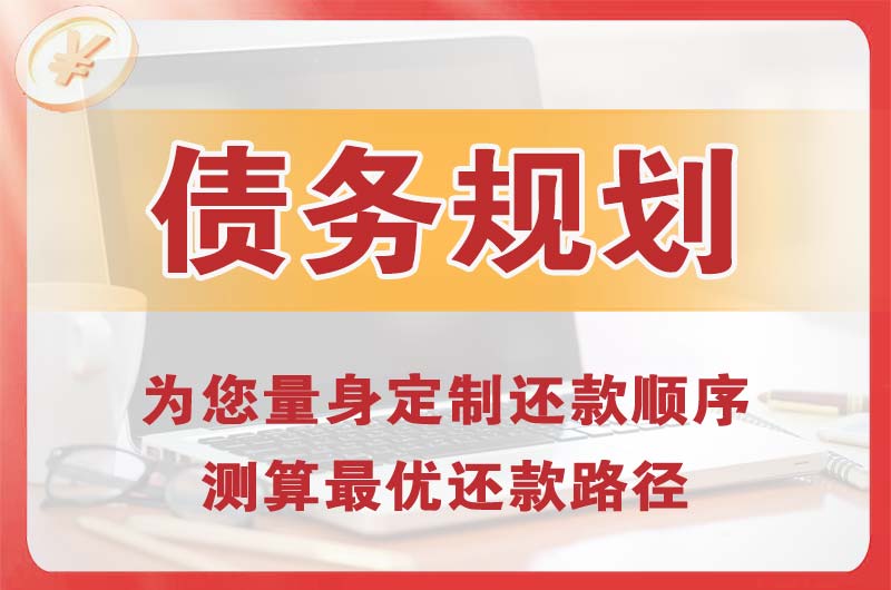 瑞丽债务规划